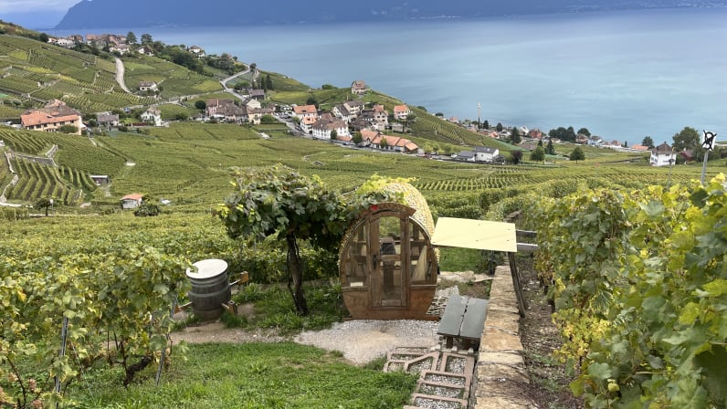 UNESCO World heritage vineyards